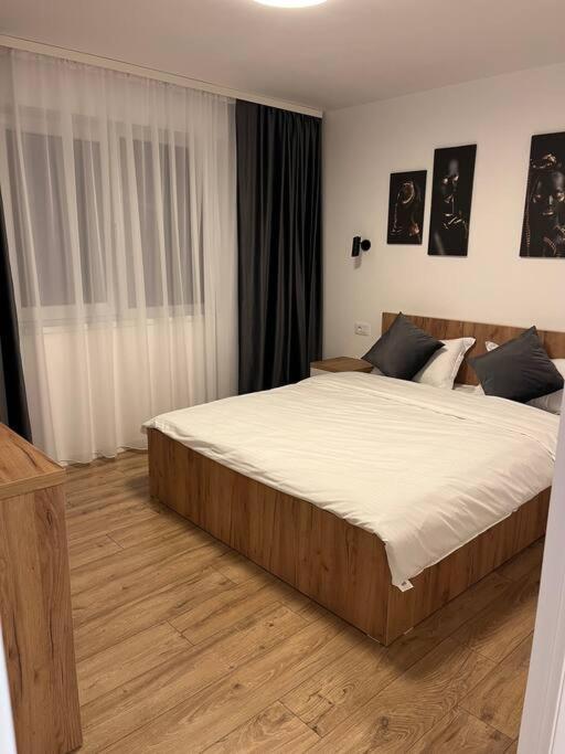 Apartament Suceava דירה סוסאבה