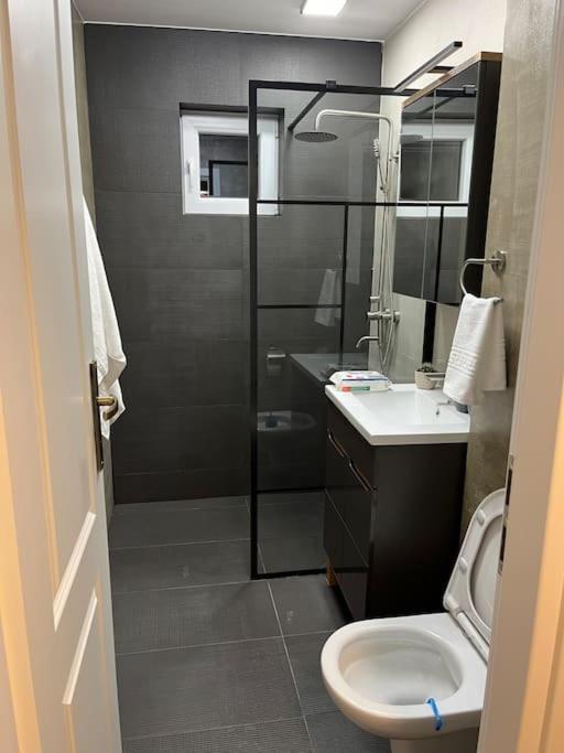 Apartament Suceava סוסאבה
